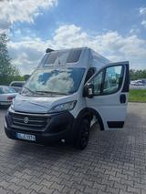La Strada Avanti C - Angebote