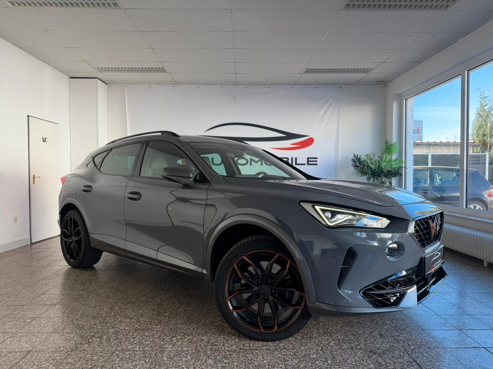 Cupra Formentor VZ 4Drive ACC Beats Kamera 8xBereifung