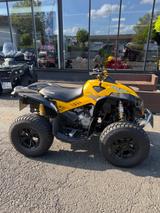 Can-Am Renegade 800R - Can-Am Quad