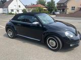 Volkswagen Beetle 1.4 TSI 50's Cabriolet 50's - Volkswagen Beetle: Cabrio