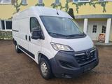 Opel Movano C Kasten HKa L2H2 3,5t Edition - gebrauchte Opel Movano aus dem Jahr 2024