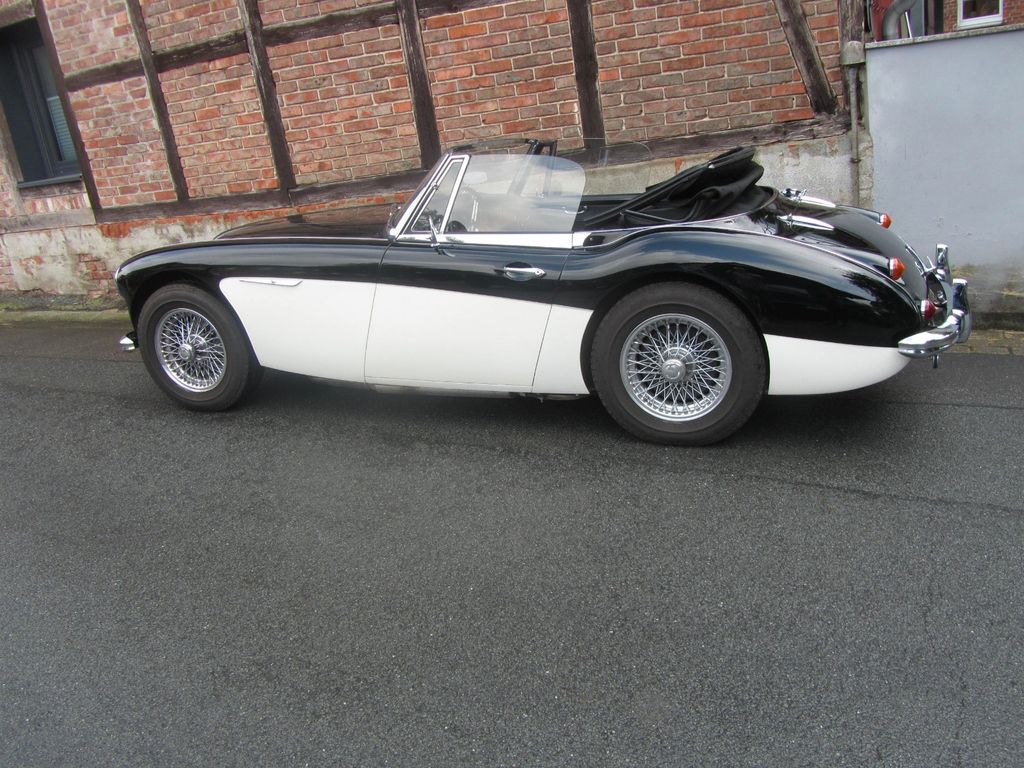 Austin Healey Andere