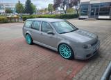 Volkswagen Golf 1.9TDI 96kW Highline Variant Neuer TÜV - Volkswagen Golf aus 2003: TDI