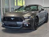 Ford Mustang Fastback 5.0 Ti-VCT V8 Aut. GT - Ford Mustang Gebrauchtwagen in Stuttgart