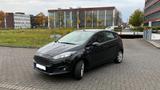 Ford Fiesta 1,25 60kW Trend Trend - Ford Fiesta: 60 Trend