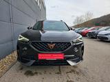 Cupra Formentor 1.5 TSI DSG 19 Zoll Fahrass. XL KAMERA - Cupra Formentor aus 2023