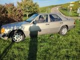 Mercedes-Benz gepflegter 260 E, H Kennz. ,HU neu, 2te Hand, - Mercedes E 260 mit Schiebedach