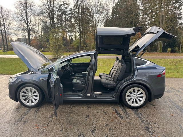 Tesla MODEL X LONG RAVEN | AP 3.0 | CCS | ASH WOOD |