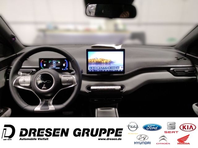 BYD DOLPHIN SURF