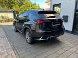 Lexus NX 300 300h - - Lexus: Nx