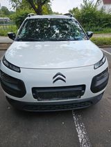 Citroën C4 Cactus BlueHDi 100 S&S Shine Shine Tüv Neu - Citroën C4 Cactus von privat