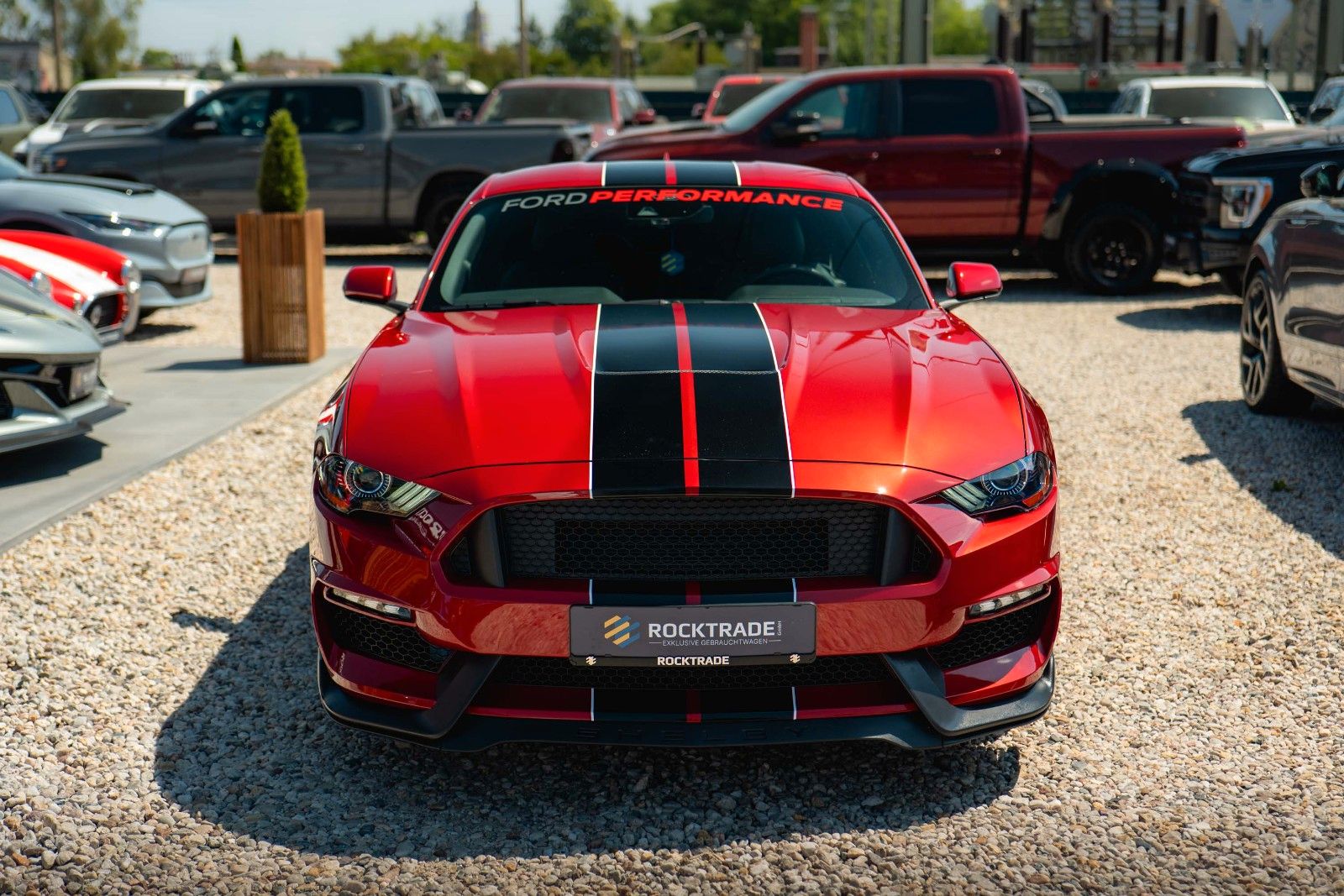 Fahrzeugabbildung Ford Mustang Shelby Coupe GT 350 Package Dark Horse