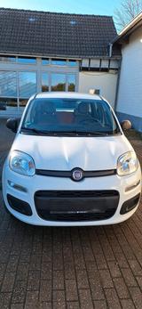 Fiat Panda 2016Bj - Fiat Panda in Köln