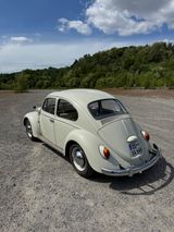 Volkswagen Käfer 1200 - Volkswagen: Sportwagen, Kaefer