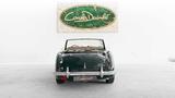 Austin Healey 3000 MK II BT 7 | Gute Dokumentation - gebrauchte Austin Healey Cabrios