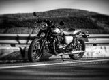Kawasaki W800 Cafe Racer | A2 | Königswelle | Scheckheft - CAFE RACER