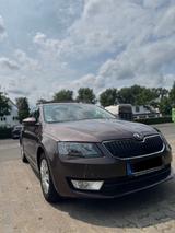 Skoda Octavia 1.2 TSI Green tec DSG Ambition Ambition - Skoda Octavia mit Benzin-Antrieb: Limousine, 1.2