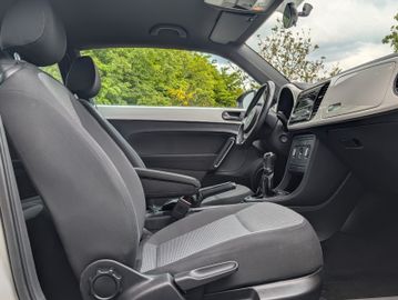 Volkswagen Beetle - 12