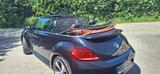 Volkswagen Beetle 2.0 TDI DSG BMT Sport Cabriolet Sport - Volkswagen Beetle: Sport