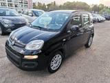 Fiat Panda 1.2 Easy - Fiat Panda mit Schiebedach