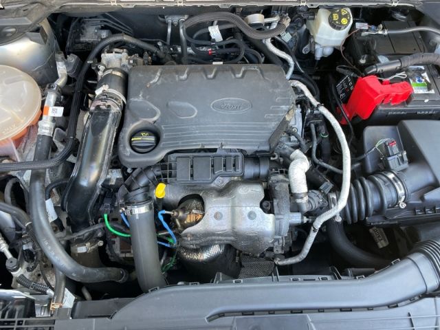 Fahrzeugabbildung Ford Kuga 1.5 EcoBlue Titanium Navi, Sitzheizung, Ein