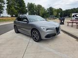 Alfa Romeo Stelvio 2.0 Turbo 16V 206kW Ti AT8-Q4 Ti - Alfa Romeo Stelvio aus 2021