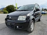 Fiat Panda 1.2 8V Climbing 4X4 - Fiat Panda aus 2010: Allradantrieb