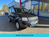 Fiat Panda 1.2 8V Climbing 4X4 - 1. HAND - TÜV 2027 - Fiat Panda: Allradantrieb, Climbing