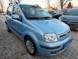Fiat Panda 1.2 Dynamic*Klima*E-Paket*ZV*TÜV NEU - gebrauchte Fiat Panda aus dem Jahr 2011