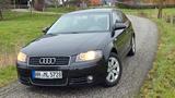 Audi A3 1.9TDI Klima SHZ TEMP PDC AHK MFL ALU - Audi A3 aus 2003: 1.9