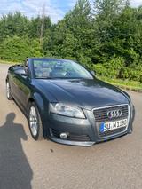 Audi A3 1.6 S line Cabriolet S line - Audi A3: Cabrio, 1.6