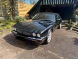 Jaguar XJR K100 einer von 500 Stück - Jaguar XJR: Von Privat