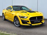 Ford Mustang GT Coupe 5.0 V8 GT500 Opt/Recaro/ACC/R20 - Ford: 20m