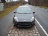 Fiat Punto 1.2 8V MYSTYLE - Fiat Punto: 1.2