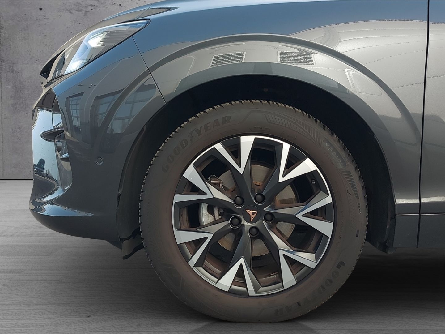 Cupra Terramar - Bild 5