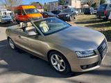Audi A5 Cabriolet 3.0 TDI VOLL erst 107500km - Audi: V10