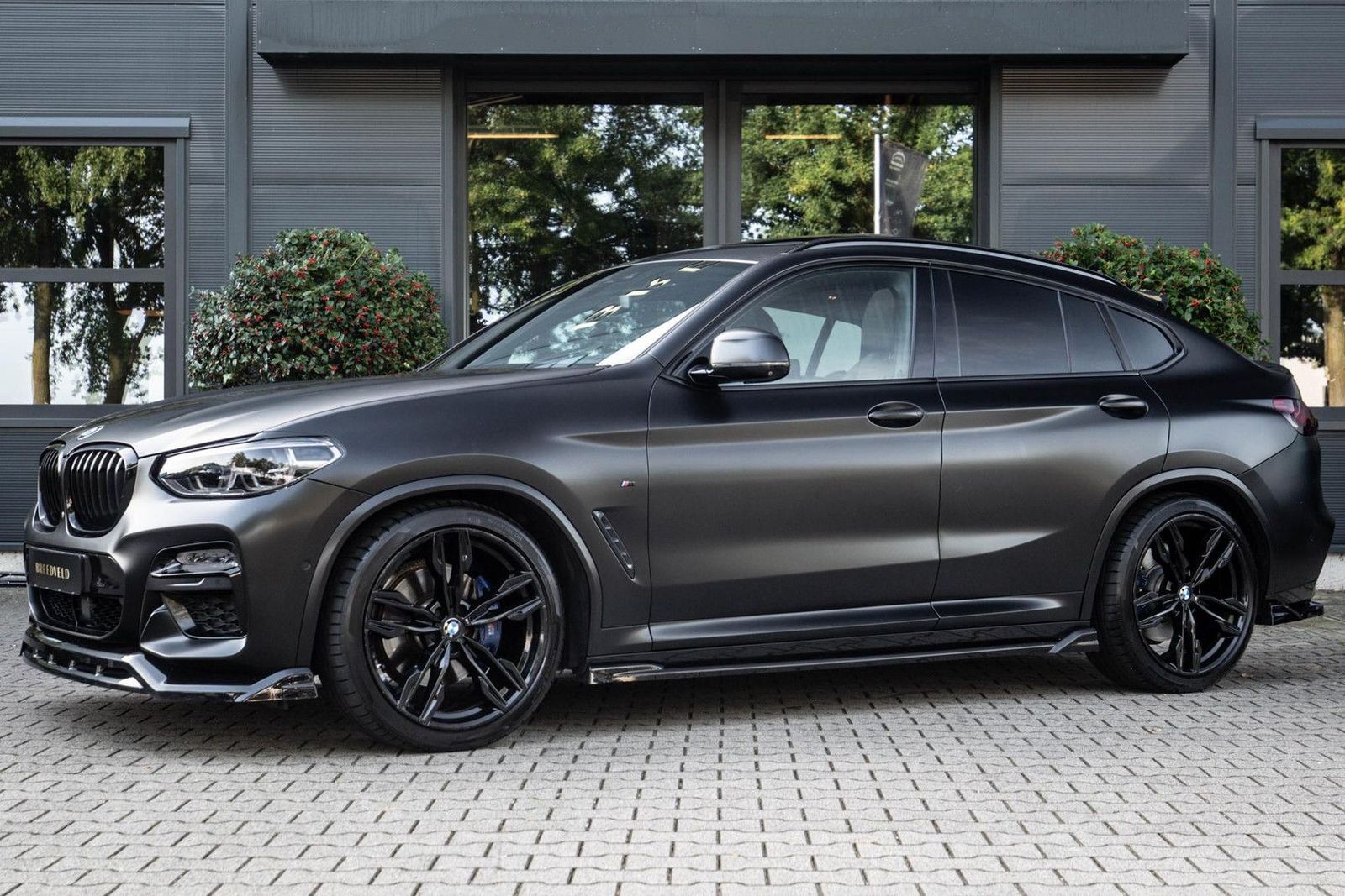 BMW X4 M40 M40i High Executive imagem 2