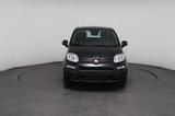 Fiat Panda 1.0 Mild-Hybrid Pandina Icon *DAB*PDC*LKA* - Fiat Panda Neuwagen
