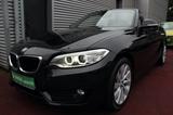 BMW 218 d CABRIO ADVANTAGE NAVI KLIMA XENON LEDER - BMW 218 Diesel Gebrauchtwagen
