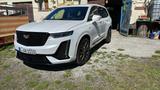 Cadillac XT6, Head Up, Nachtsicht, LPG - Cadillac XT6 Gebrauchtwagen