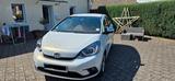 Honda Top Gepflegter Honda Jazz