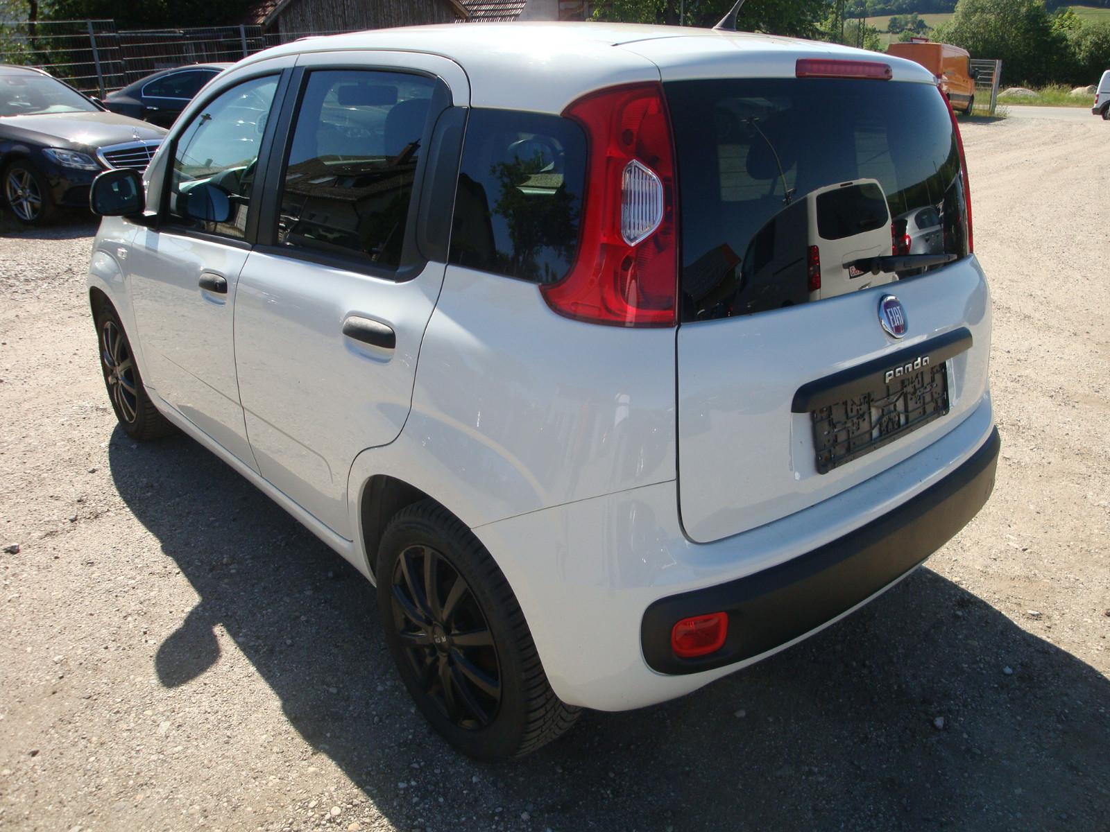 Fiat Panda Young