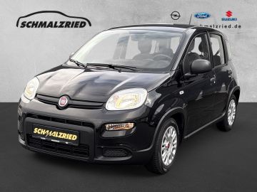 Bild Panda Fiat