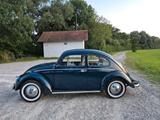 Volkswagen VW Käfer 1200 Blau Volkswagen Oldtimer - Offers