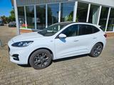 Ford Kuga ST-Line X  FHEV 4x4, Panoramadach, Wipa.. - Ford Kuga: Panoramadach