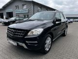 Mercedes-Benz ML 250 CDI BlueTEC 4Matic Automatik