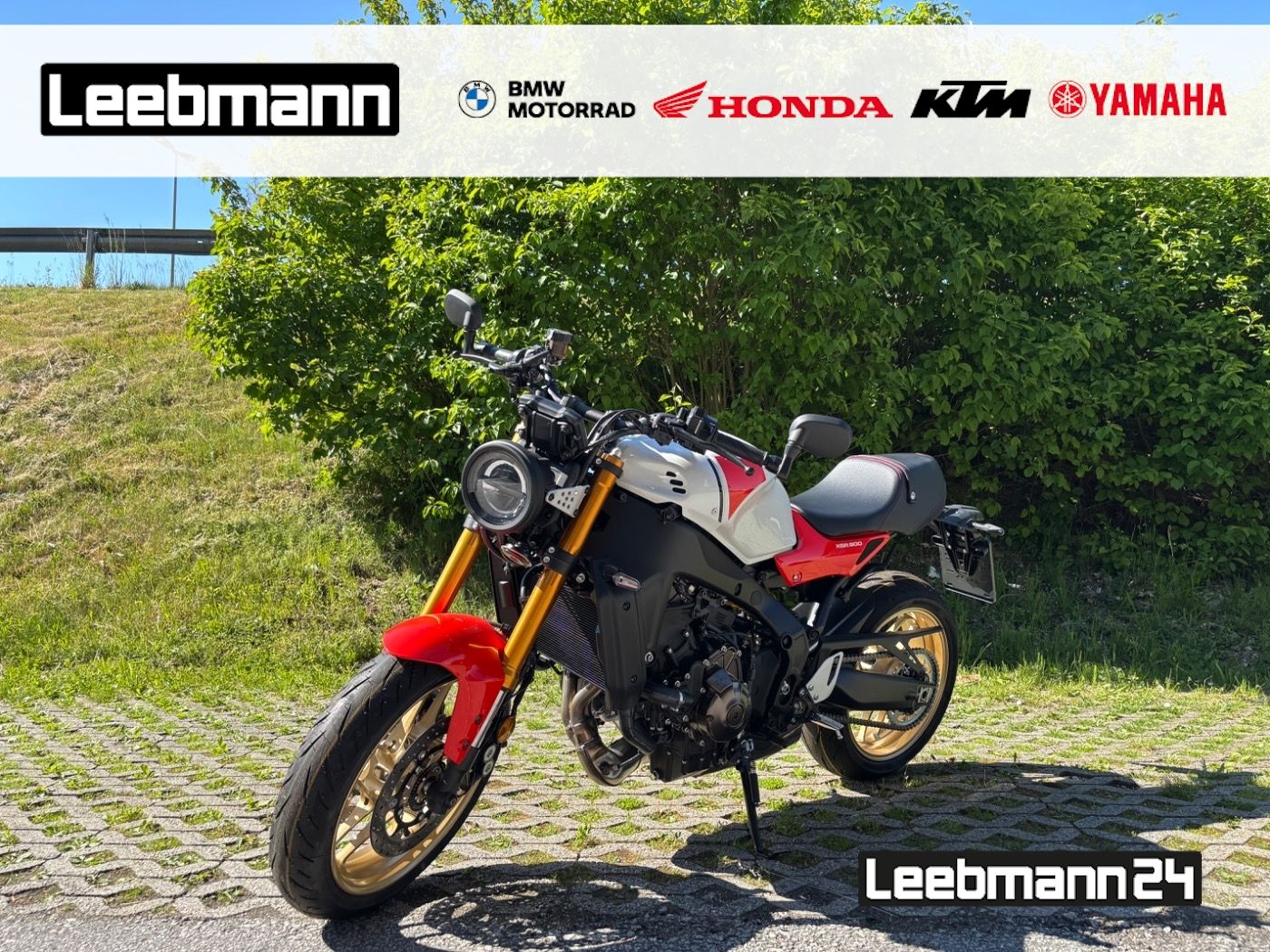 Fahrzeugabbildung Yamaha XSR 900 Modell 2024
