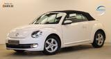 Volkswagen Beetle Cabrio 1.2 105PS Exclusive Design 1.Hand - Volkswagen Beetle Gebrauchtwagen