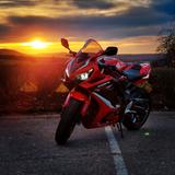 Honda CBR650R Modelljahr 2021 - HONDA CBR650R