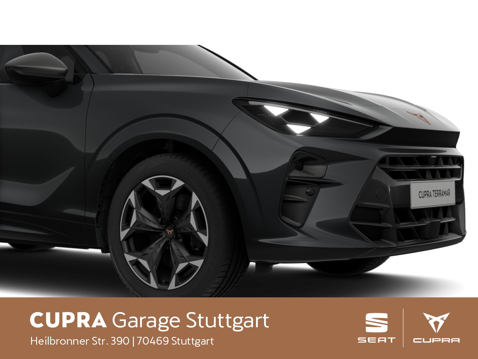 Cupra Terramar - Bild 3